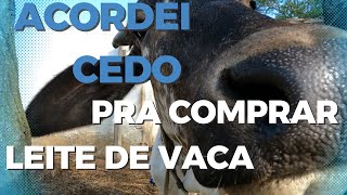 HOJE ACORDEI BEM CEDO PARA COMPRAR LEITE DE VACA PRO CAFÉ DA MANHÃ