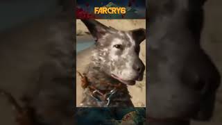 NUEVAS mascotas en Far Cry!! #farcry #farcry6 #josephseed #juegosedit #FarCry #mascotas