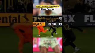 Diego palácios novo jogador do Corinthians