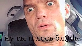 crazy brother / зеленый слоник / ну ты лось / буйвол / здоровый как пельмень