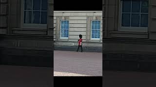 Just another day at Buckingham Palace, London