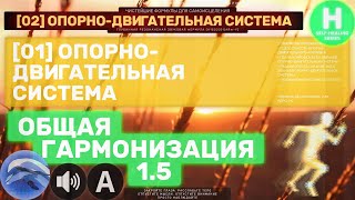 0201🐬 Опорно-Двигательная Система 🔊 ГЛУБОКОЕ Гармонизирующее Исцеление