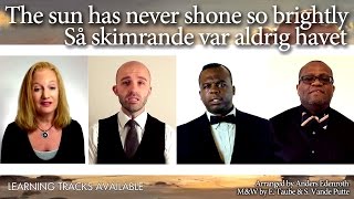 Så skimrande var aldrig havet (The Real Group / Lemon Squeezy) - A Cappella Quartet