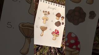 Disegniamo funghi 🍄 #disegno #drawing #art #markers #cute #doodle #autunno #relax #tutorial #asmr