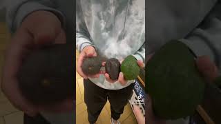 Yo eligiendo aguacates, mi mamá: