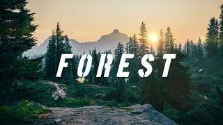 Discover-FOREST