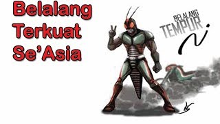 Belalang terkuat se'asia part 2