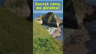 Secret cove, no pirates, only seals. #shorts #seals #piratecove