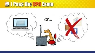 Fail the CPA Exam? Here's What You Can Do (Updated 2016)