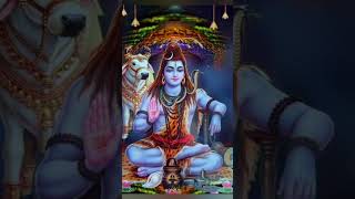 Lordshiva #shivshakti #mahadev #lordshiva #bholenath #shorts