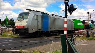 156 506  Railpool rijd naar Duitsland langs Vierpaardjes Venlo