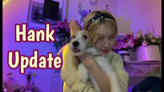 Hank update หลังอยู่กับโรเซ่ชีวิตดีดี๊ EP.98