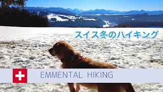 スイスの犬Nalaと一緒に冬のハイキングへGo！/Emmental/Hiking