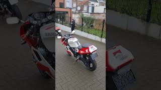 Yamaha TZR 125 Belgarda 2 Stroke Classic  #2stroke #yamaha #shorts