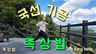 210. 족상법 2회 연속 수련(후면)ㅣ2 consecutive training sessions in Jogsangbeop(Back)ㅣKouksun Kigongㅣ국선기공ㅣ인왕산