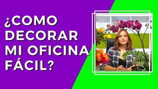 ¿COMO DECORAR MI OFICINA FÁCIL?