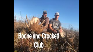 Boone and Crockett moose harvested testimonial for 60 Inch Club and gives his