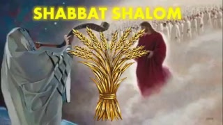 Shavuot - Separation and Elevation