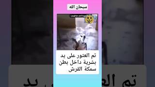 العثور على يد شاب داخل بطن الحوت 😱😱