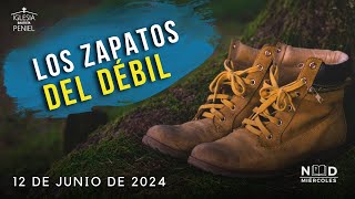 En los zapatos del débil | NDM | 12/06/24