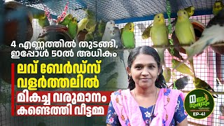 4 എണ്ണത്തിൽ തുടങ്ങി, ഇപ്പോൾ 50ൽ അധികം: Love Birds, Budgies വളർത്തലിൽ നല്ല വരുമാനം കണ്ടെത്തി വീട്ടമ്മ