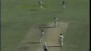 Waqar Younis vs Aus 1995