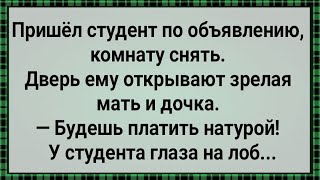 Как Студент За Комнату Натурой Платил! Сборник Свежих Анекдотов! Юмор!