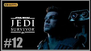 Star Wars Jedi: Survivor : 🎮 Capitulo 12 Nova Garon 🎮 / Español 🎮 / XSX