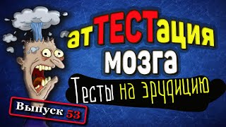 [Выпуск#53] Насколько ты эрудирован? Попробуй пройти ТЕСТ из 12 вопросов |Аттестация Мозга