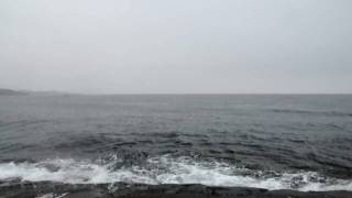 barents sea seen from grense jakobselv, norway