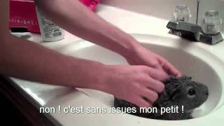 DRUNK GUINEA PIG BATH -Ian is Bored 42- Sous-titré Français