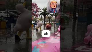 trump coment a funny video#funny #trump