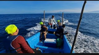 impresionante pesca de Atun Gigante