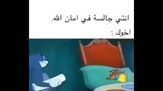 حالات وتس اب مضحكة 😂//ستوريات انستغرام ||حالات وتس اب قصيرة _توم وجيري ..!