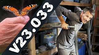 VLOG 23.033 - Monarch Chrysalis - DIY Dip Bars - What is Identity - Broken Arm?