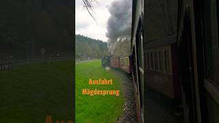 Brockenlok Ausfahrt Mägdesprung Selketalbahn HSB Harzer schmalspurbahnen