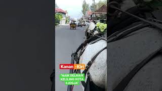 "NAIK DELMAN DI MALIOBORO #JOGJA" Melihat Kanan-kiri Setiap sudut Kota diatas Delman #Shorts