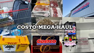 MASSIVE COSTCO WHOLESALE HAUL IN USA|| DHL DELIVERY & IPHONE 15