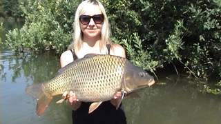 Letní kaprařina na svazové vodě  -- Summer carpfishing on czech state water..