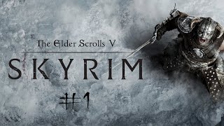 Чильный  Skyrim: №1 Этот парень играет тысячи часов, и вы не поверите, насколько он хорош