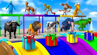 Choose The Right Gift Box Run Game With Cow Mammoth Gorilla Dinosaur Slider Wild Animals Matching