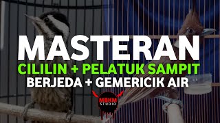 MASTERAN CILILIN + PELATUK SAMPIT