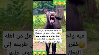 #🌷أسعد_الله_مساءكم_بكل_خير🌷funnyvidéo#shorts#