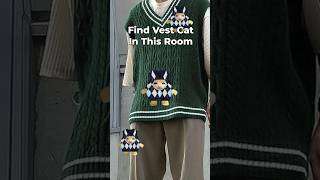 Vest Cat Finding Challenge