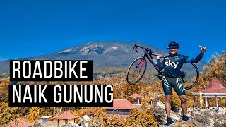 Modal Tabah GOWES ARGOMUNUNG | MAGETAN