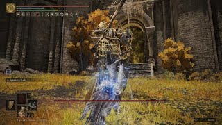 Defeating Draconic Tree Sentinel