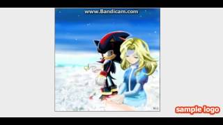 Les tristes moments de Shadow the hedgehog et mon coeur pour ma bien-aimer.