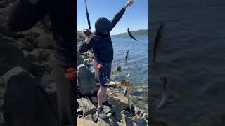 Mackerel fishing in Norway 🇳🇴