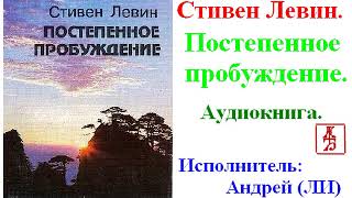 Стивен Левин.   Постепенное пробуждение (Аудиокнига)