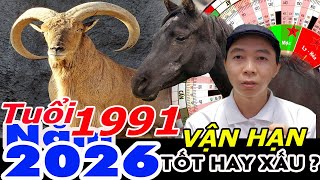 Xem Vận Hạn Tuổi Tân Mùi 1991 năm 2026 RA SAO ?  Phong Thủy 100 Năm